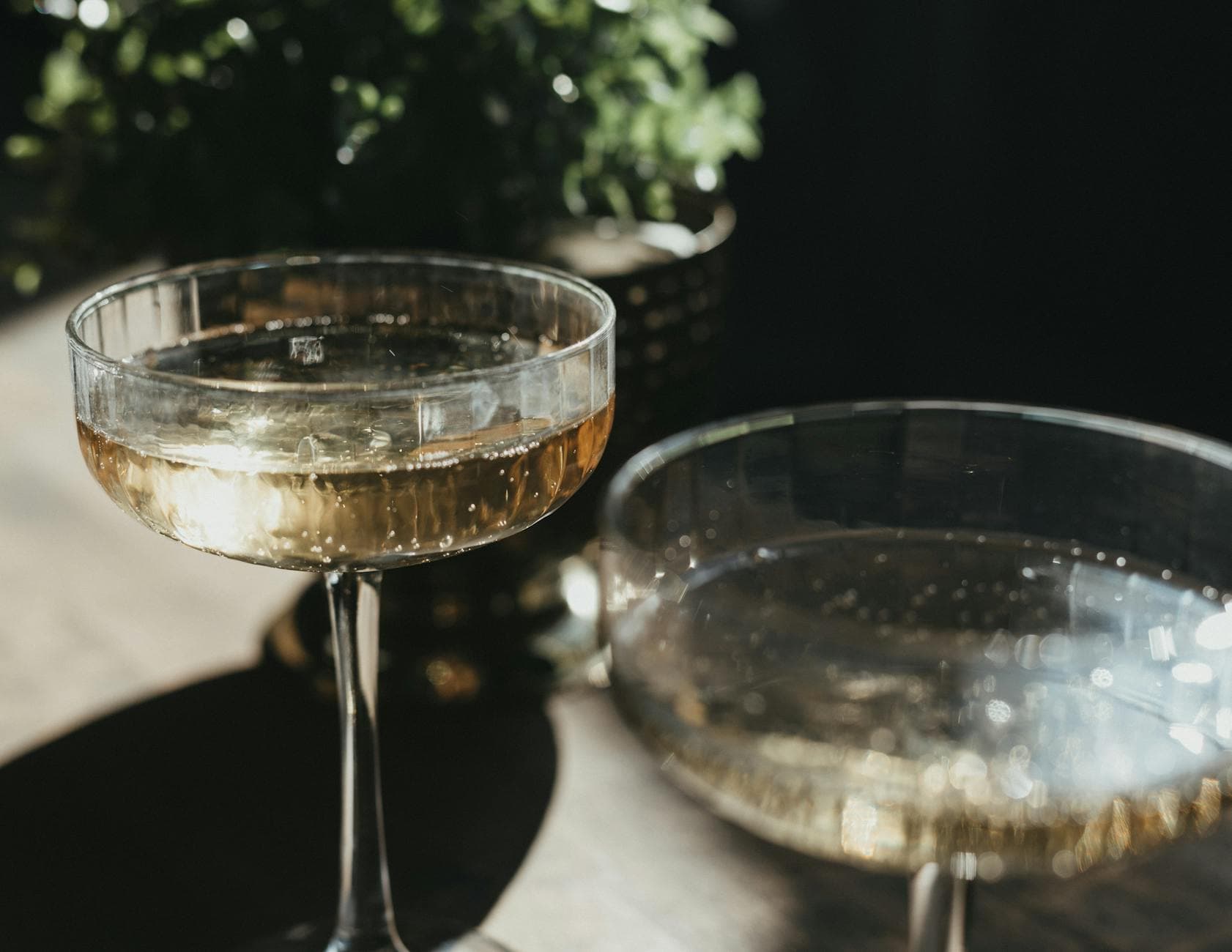 Engagement Party to Wedding Day: Building One Photo Gallery for Your Entire Journey