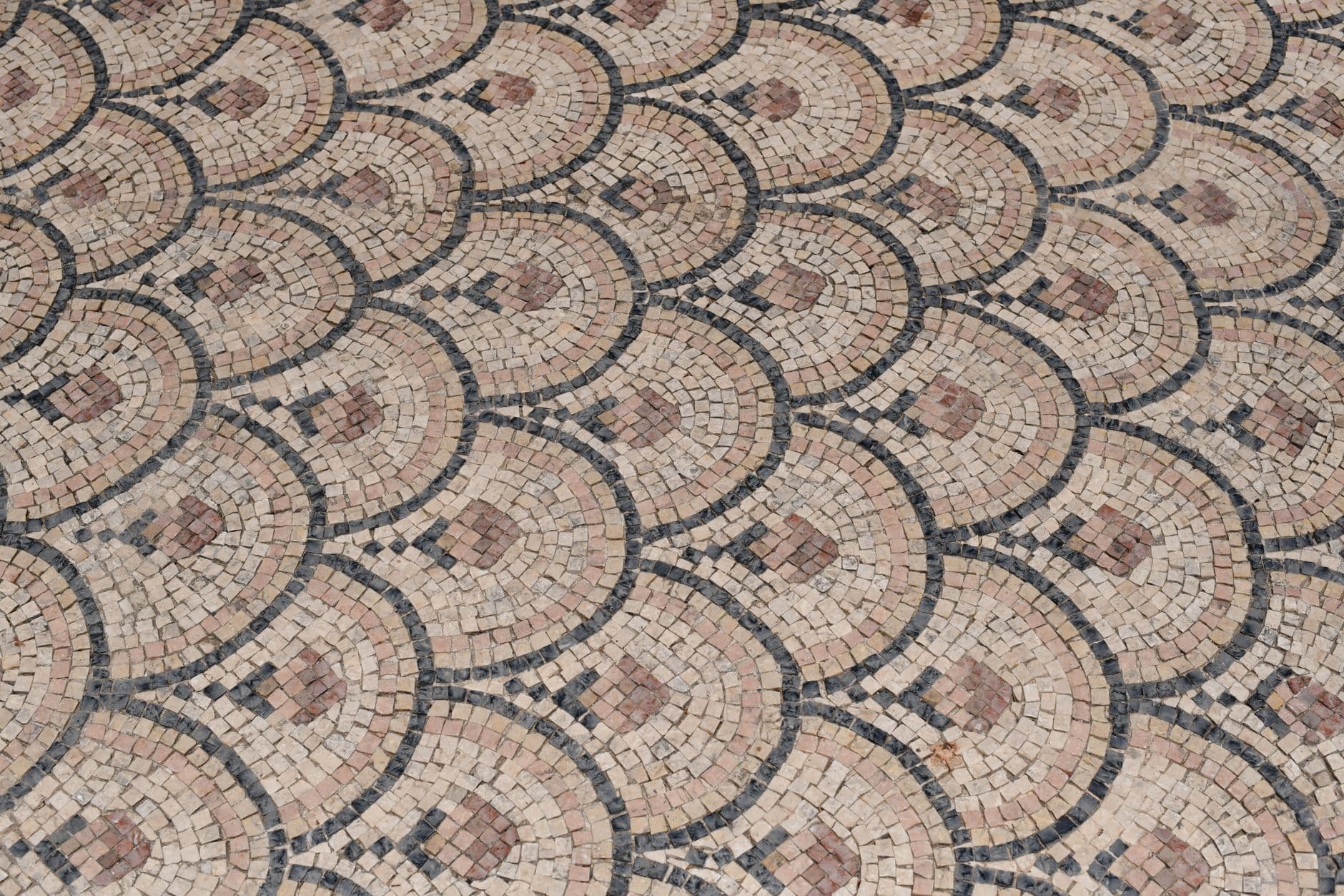 Mosaic and Justified Photo Gallery Layouts: A Visual Guide