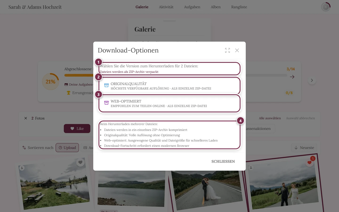 Dialog Download-Optionen bei zwei markierten Fotos, mit ZIP-Hinweis unter beiden Knöpfen
