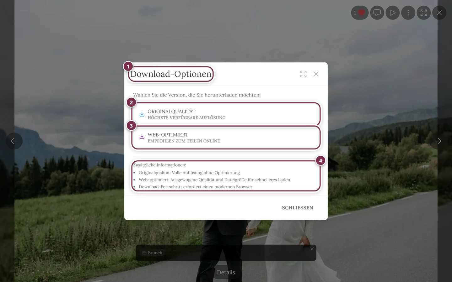 Dialog Download-Optionen mit den beiden Knöpfen Originalqualität und Web-optimiert