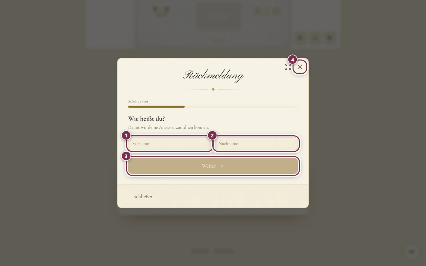 Antwortfenster Rückmeldung mit Ringen um Vorname, Nachname, Weiter und dem Schließen-Kreuz
