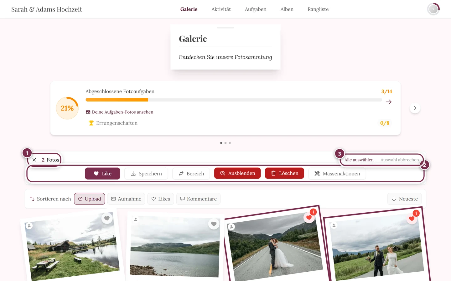Aktionsleiste der Auswahl mit Speichern und der Anzahl gewählter Fotos