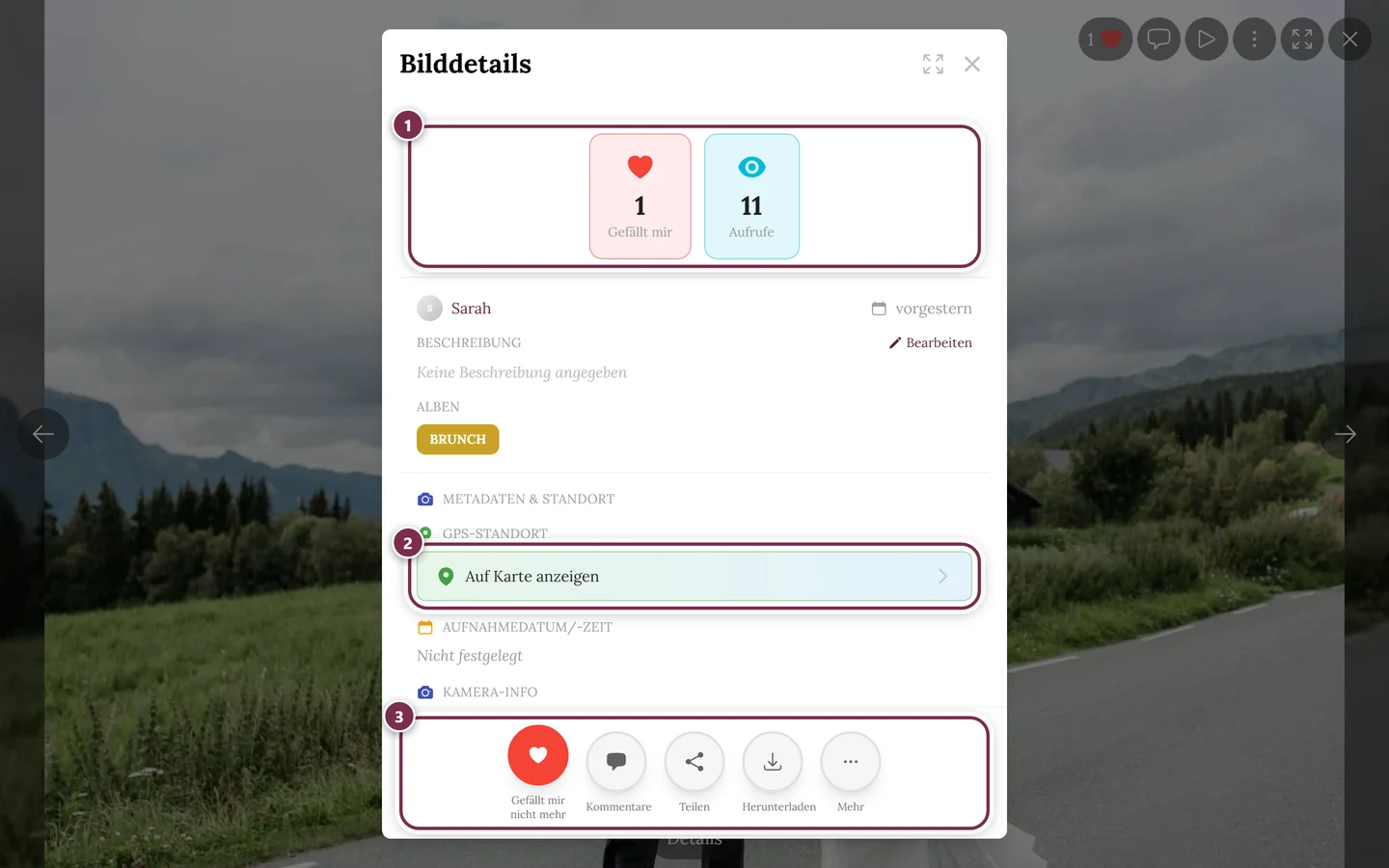 Bild-Details-Dialog mit Statistik, Uploader, Beschreibung und Aufnahme-Infos