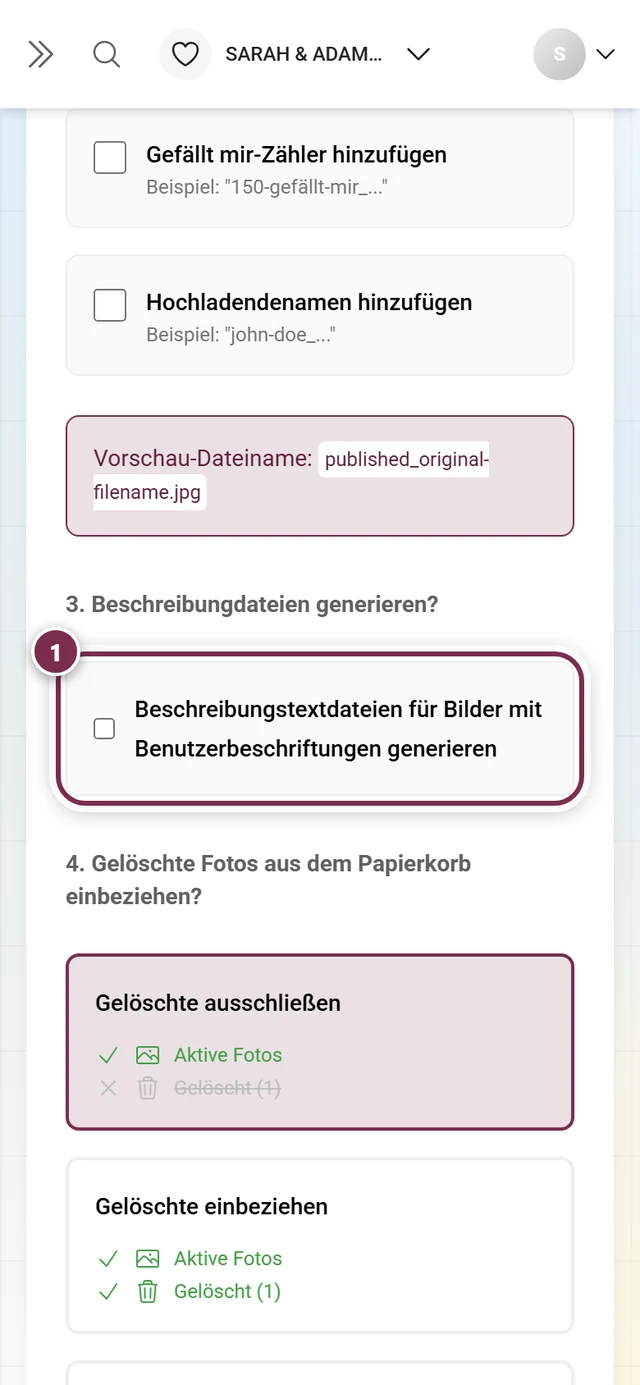 Schritt 3 mit dem Häkchen für Beschreibungstextdateien, markiert