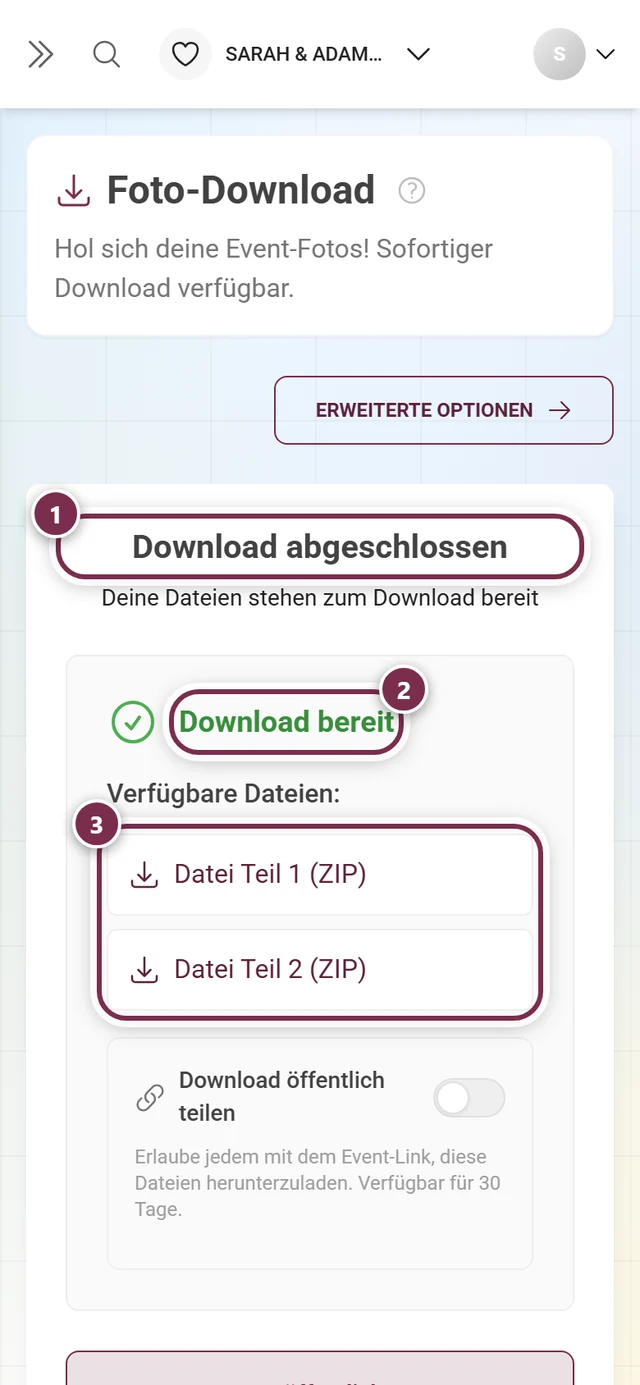 Ergebnis-Screen mit der Überschrift Download abgeschlossen, dem grünen Vermerk Download bereit und zwei ZIP-Teilen, alle markiert