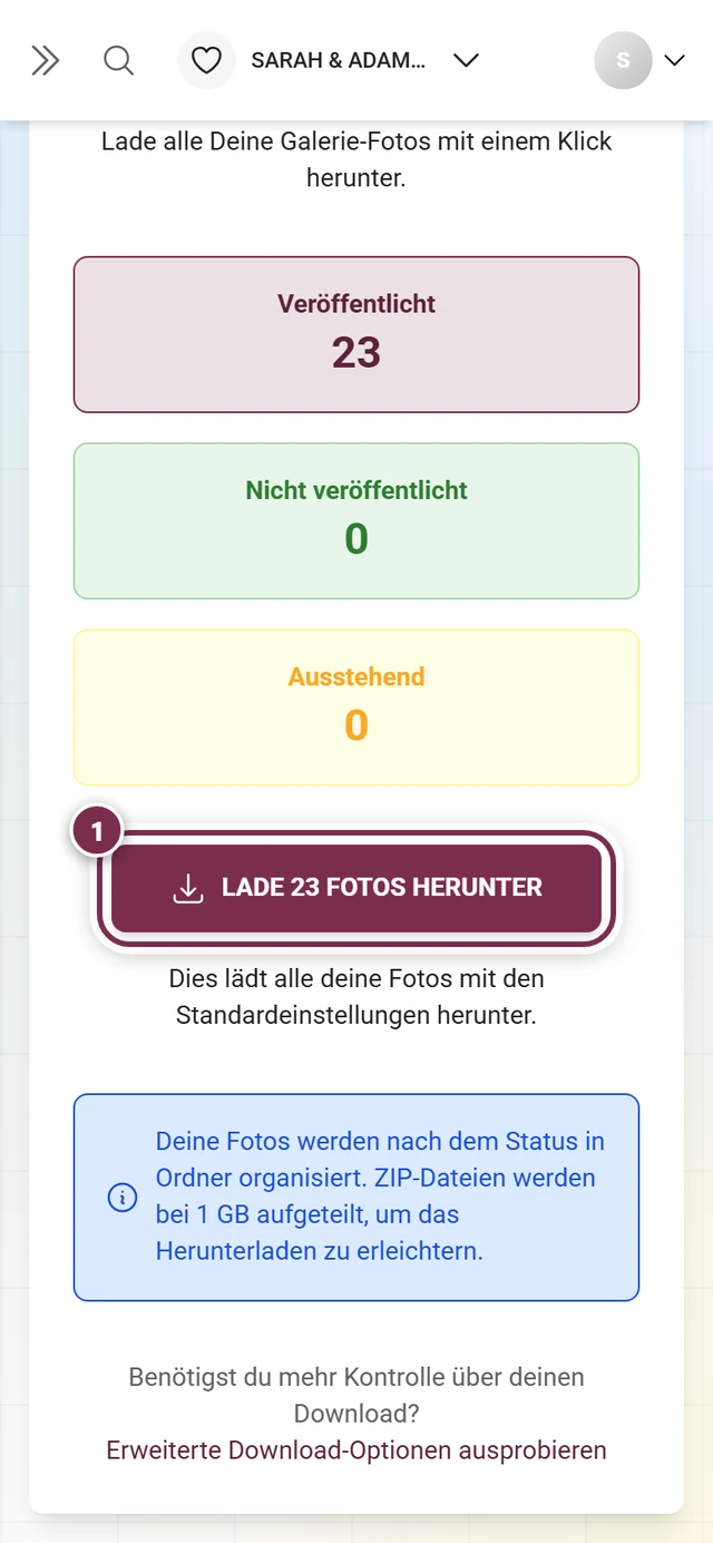 Der Download-Knopf mit der Anzahl der Fotos, markiert