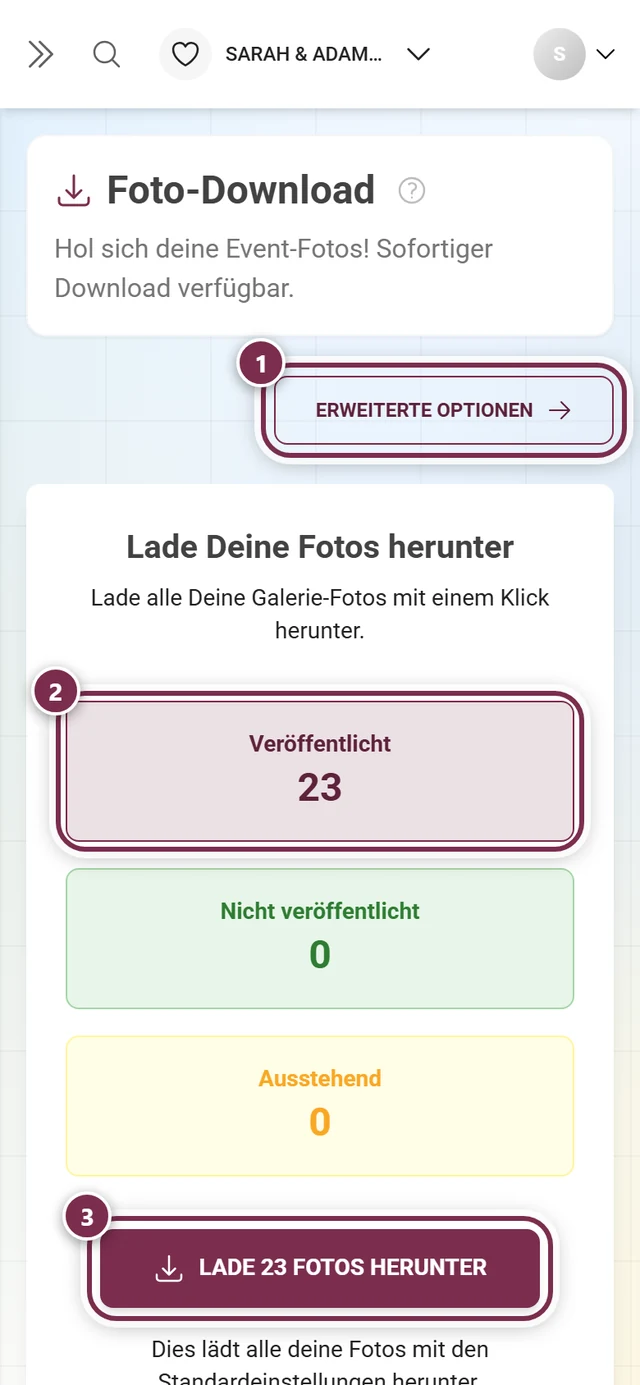 Download-Seite im Admin-Bereich, markiert sind der Knopf Erweiterte Optionen, die Kachel Veröffentlicht und der Download-Knopf