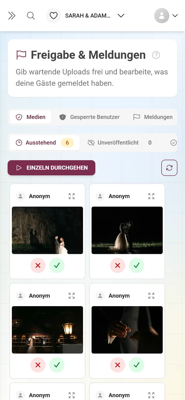 Reiter Medien mit der Status-Leiste Ausstehend 6, Unveröffentlicht 0, Veröffentlicht 17 und sechs Karten mit rotem X und grünem Häkchen