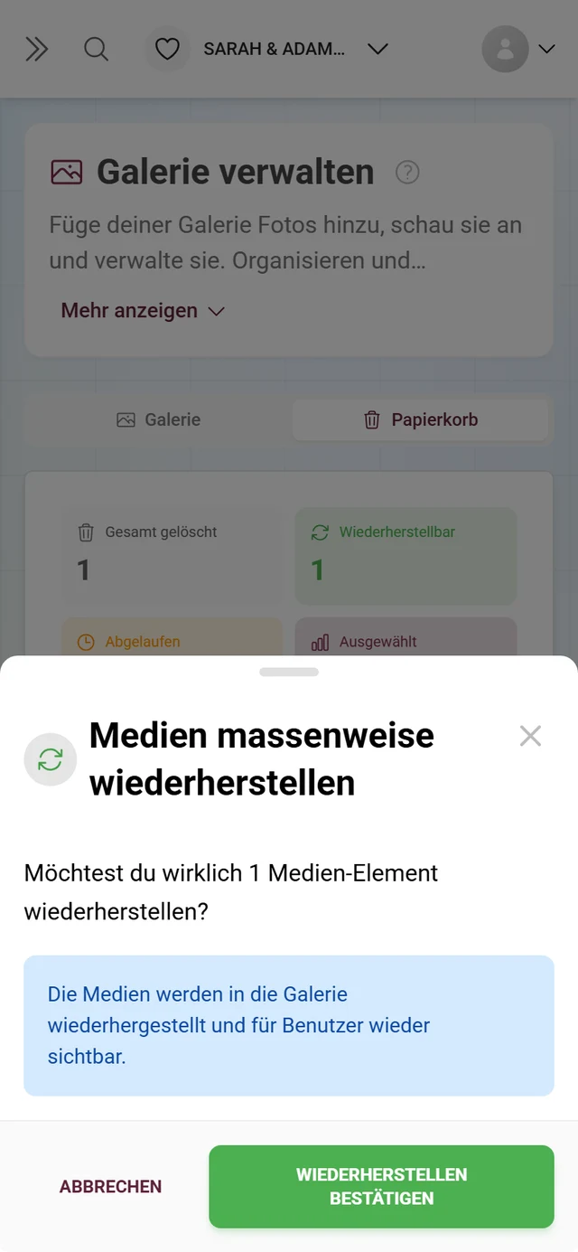 Dialog Medien massenweise wiederherstellen mit Anzahl und blauem Hinweisfeld