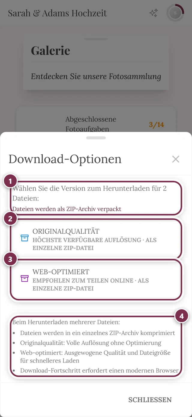 Dialog Download-Optionen bei zwei markierten Fotos, mit ZIP-Hinweis unter beiden Knöpfen