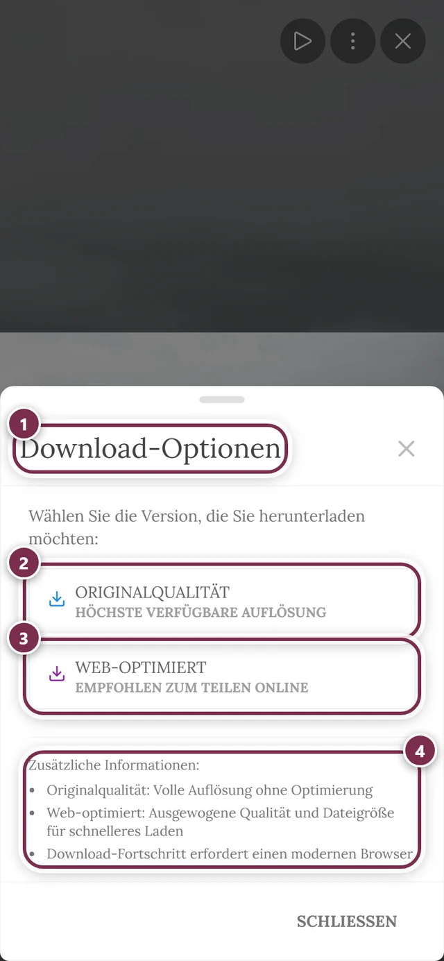 Dialog Download-Optionen mit den beiden Knöpfen Originalqualität und Web-optimiert