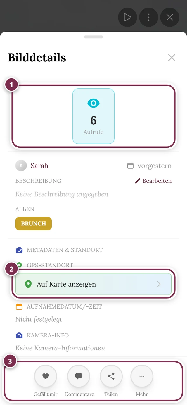 Bild-Details-Dialog mit Statistik, Uploader, Beschreibung und Aufnahme-Infos