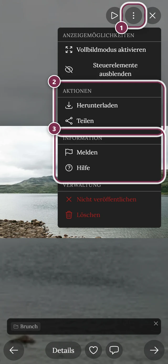 Geöffnetes Drei-Punkte-Menü im Vollbild mit den Aktionen Herunterladen, Teilen und Melden