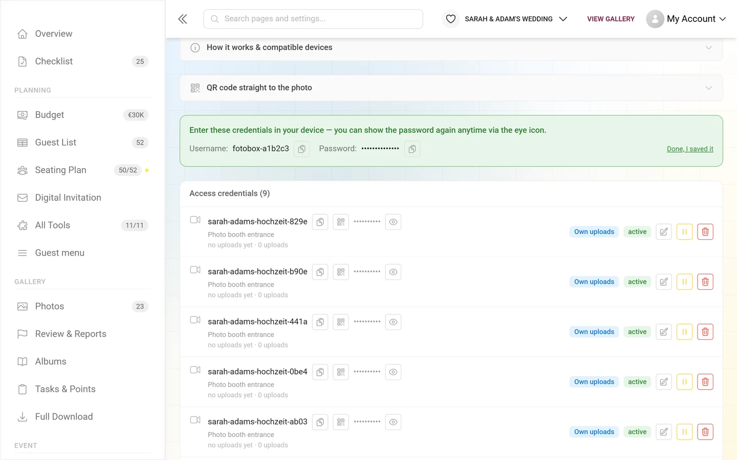 Green panel with username and masked password right after creating an access