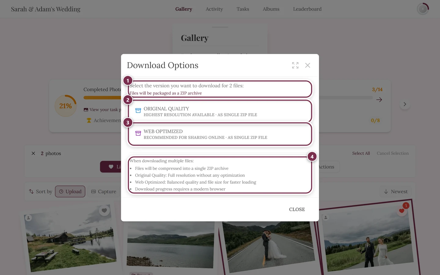 Download Options dialog with two photos marked, showing the ZIP note under both buttons