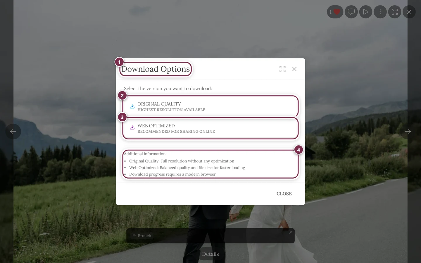 Download Options dialog with the two buttons Original Quality and Web Optimized
