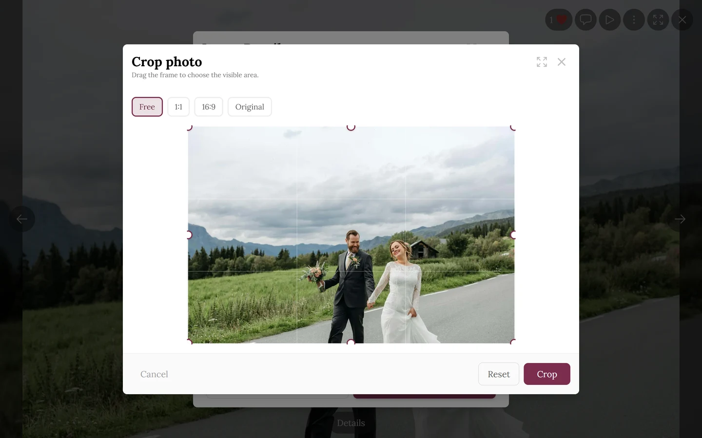 Crop photo dialog with the aspect ratios Free, 1:1, 16:9 and Original, the frame with round corner handles and the buttons Cancel, Reset and Crop