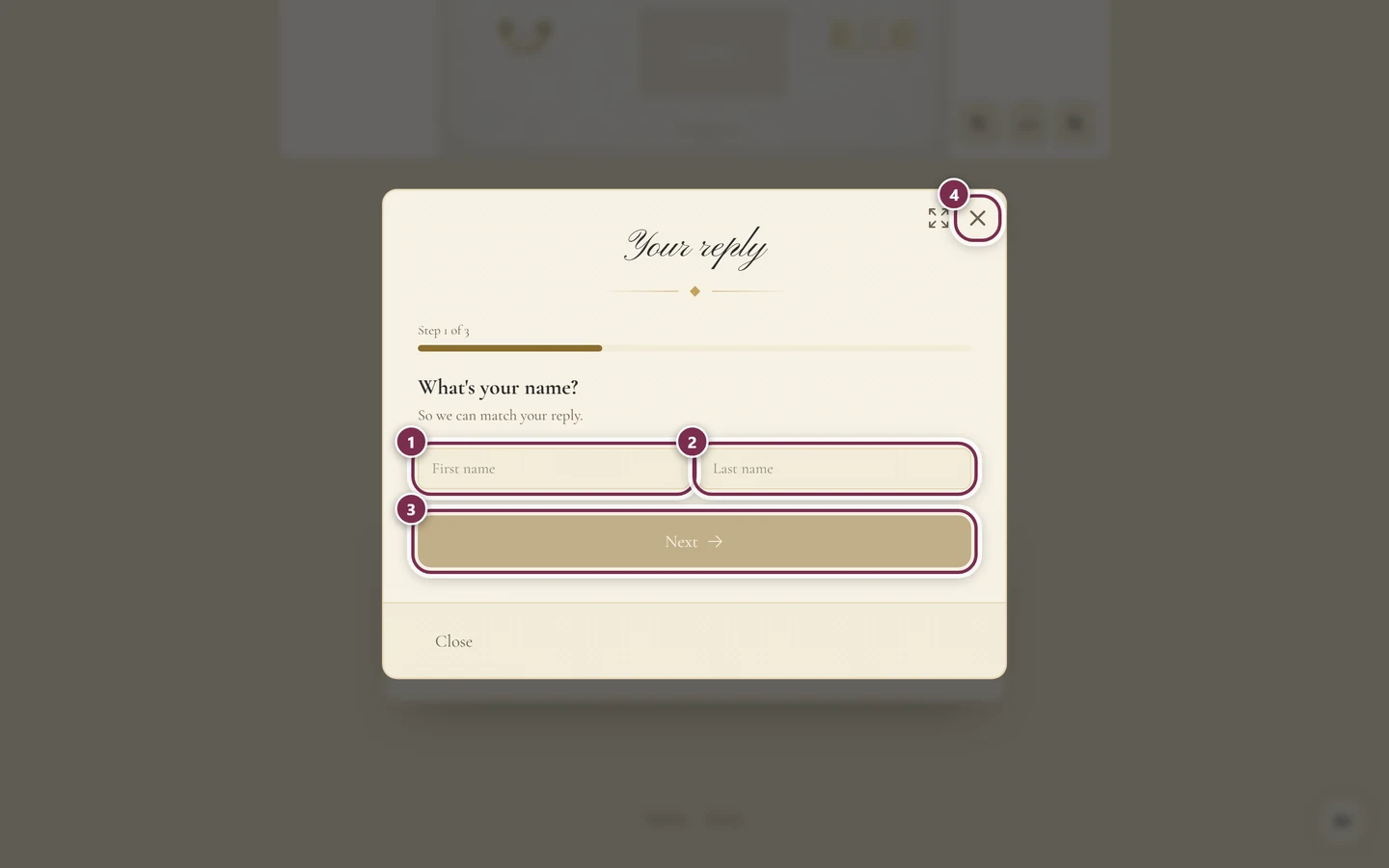 Your reply window with rings around first name, last name, Next and the close cross