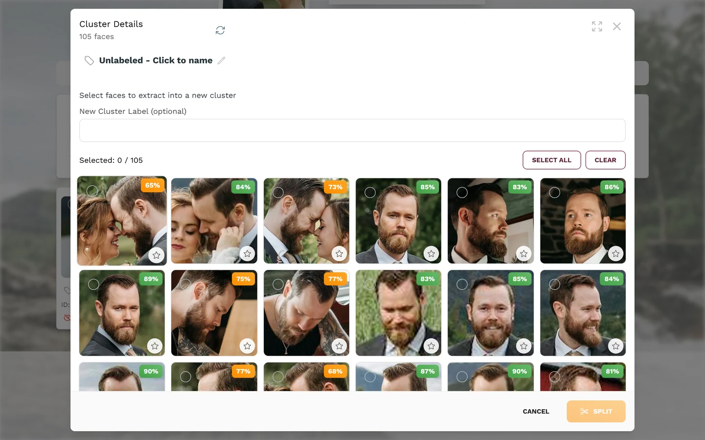 Cluster details dialog with selectable faces, confidence percentages and the Split and preview-image buttons