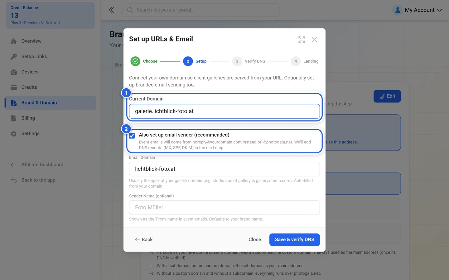 Wizard step for your own domain with the domain field and the email sender checkbox highlighted