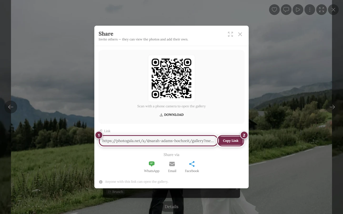 Share dialog over the full-screen view of a photo, with the link field highlighted