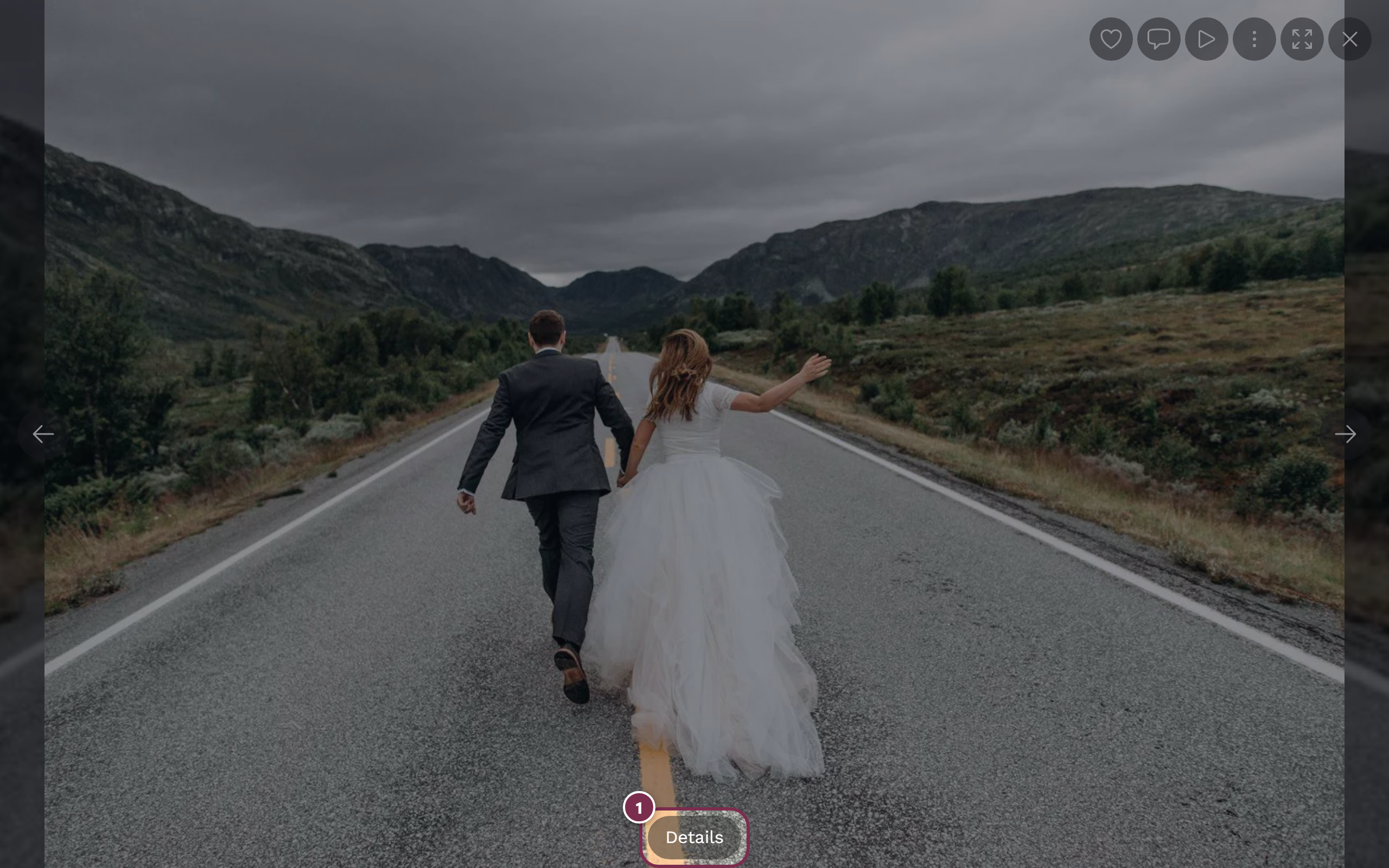 Bottom control bar in fullscreen with the Details button highlighted