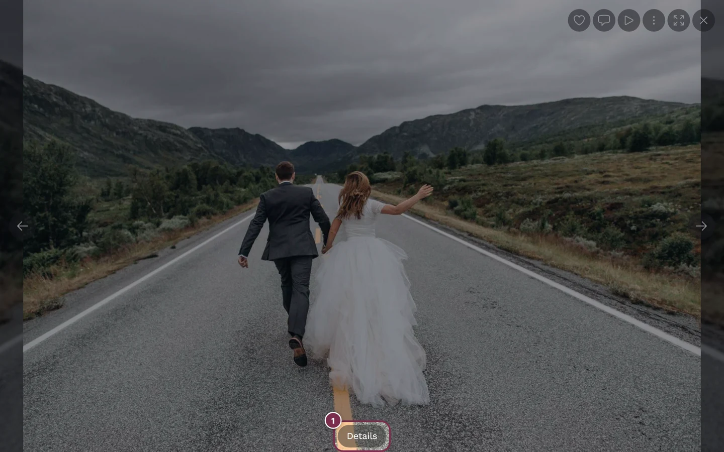 Bottom control bar in fullscreen with the Details button highlighted