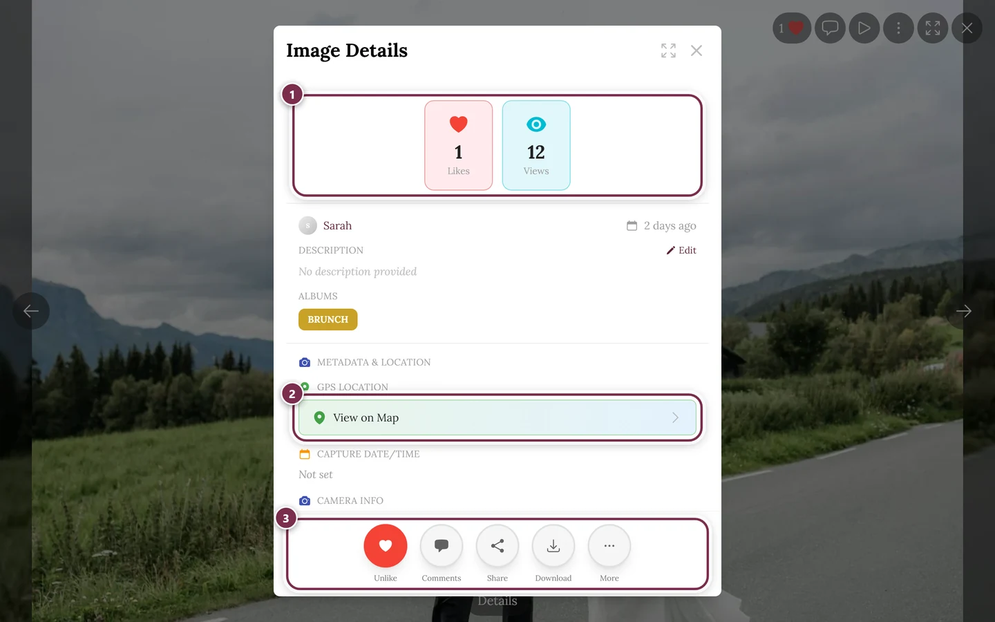 Image details dialog with stats, uploader, description and capture info