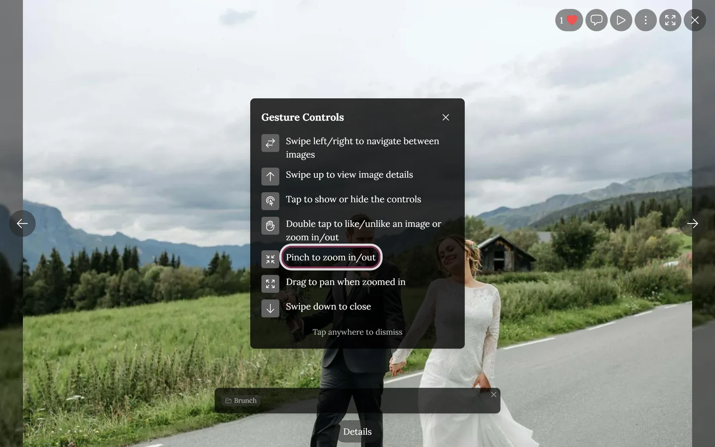 Gesture help overlay in full-screen view with the pinch row highlighted
