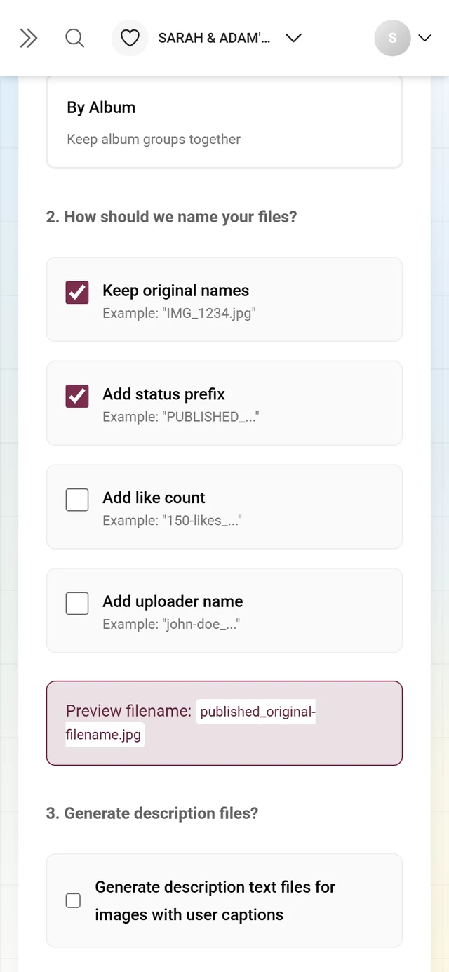 Step 2 of the advanced download with the four naming checkboxes and the preview