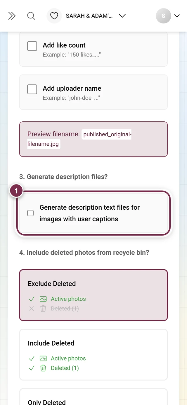 Step 3 with the checkbox for description text files, highlighted