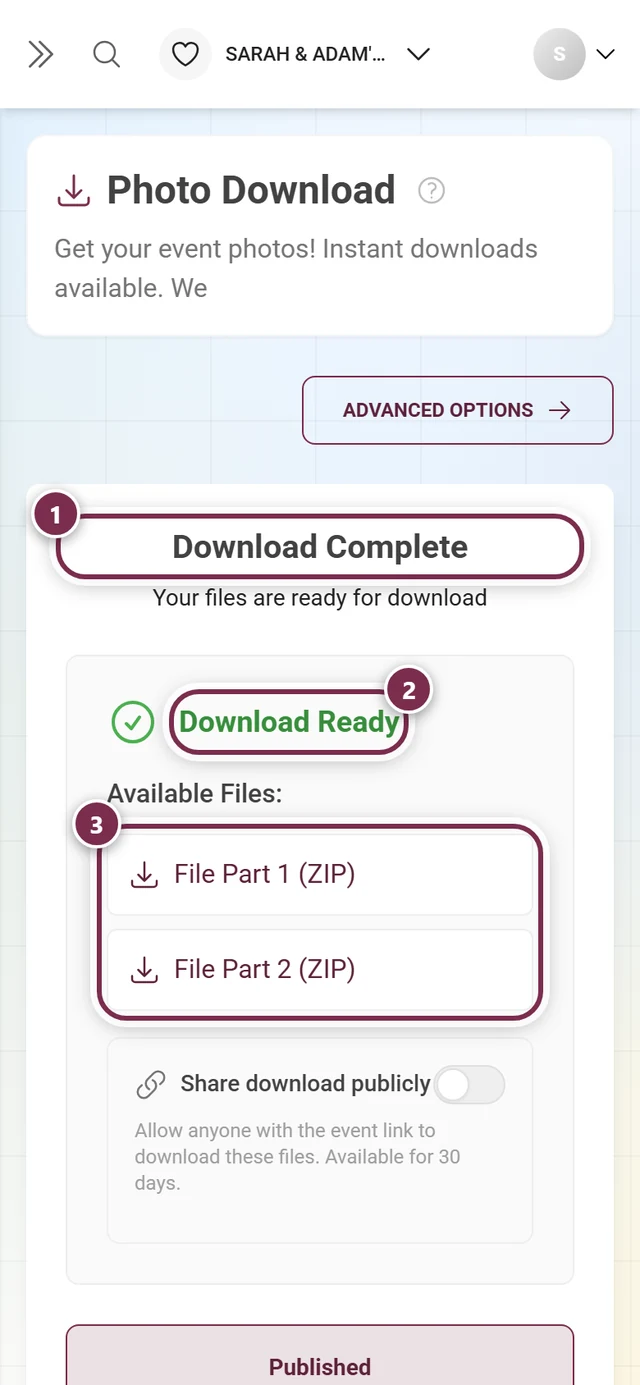 Result screen with the heading Download Complete, the green Download Ready note and two ZIP parts, all highlighted