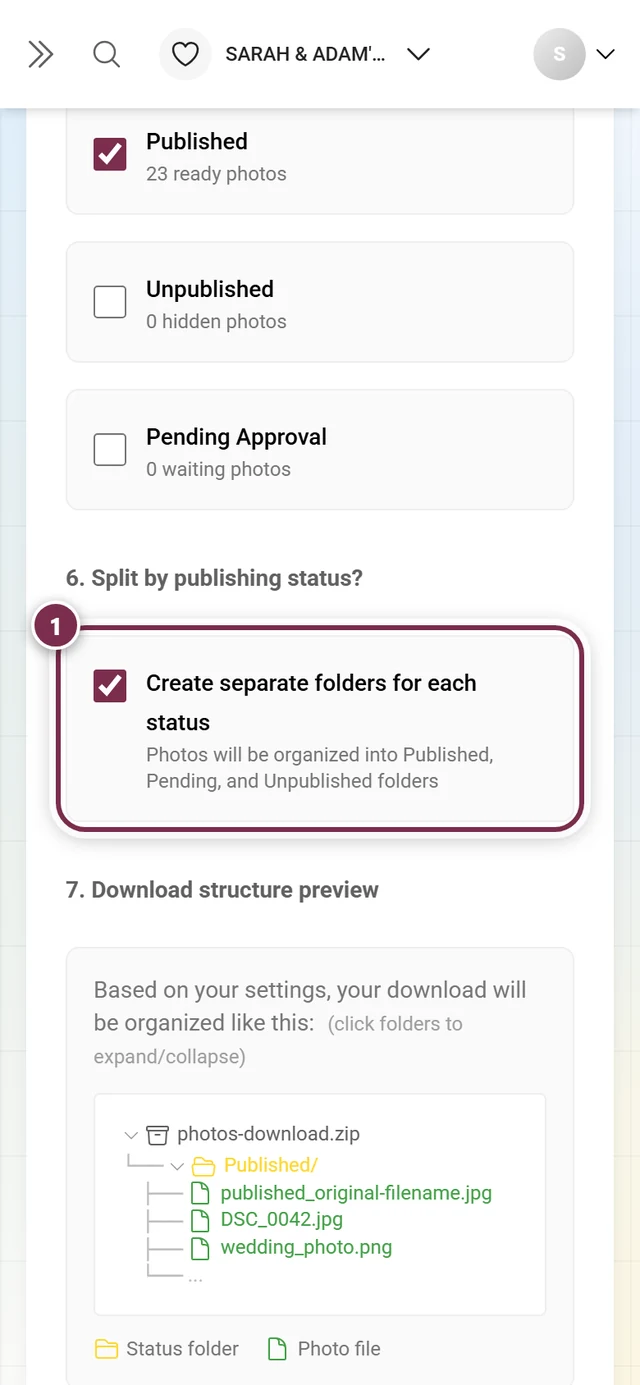 Step 6 with the split-by-status checkbox and the folder structure preview, highlighted