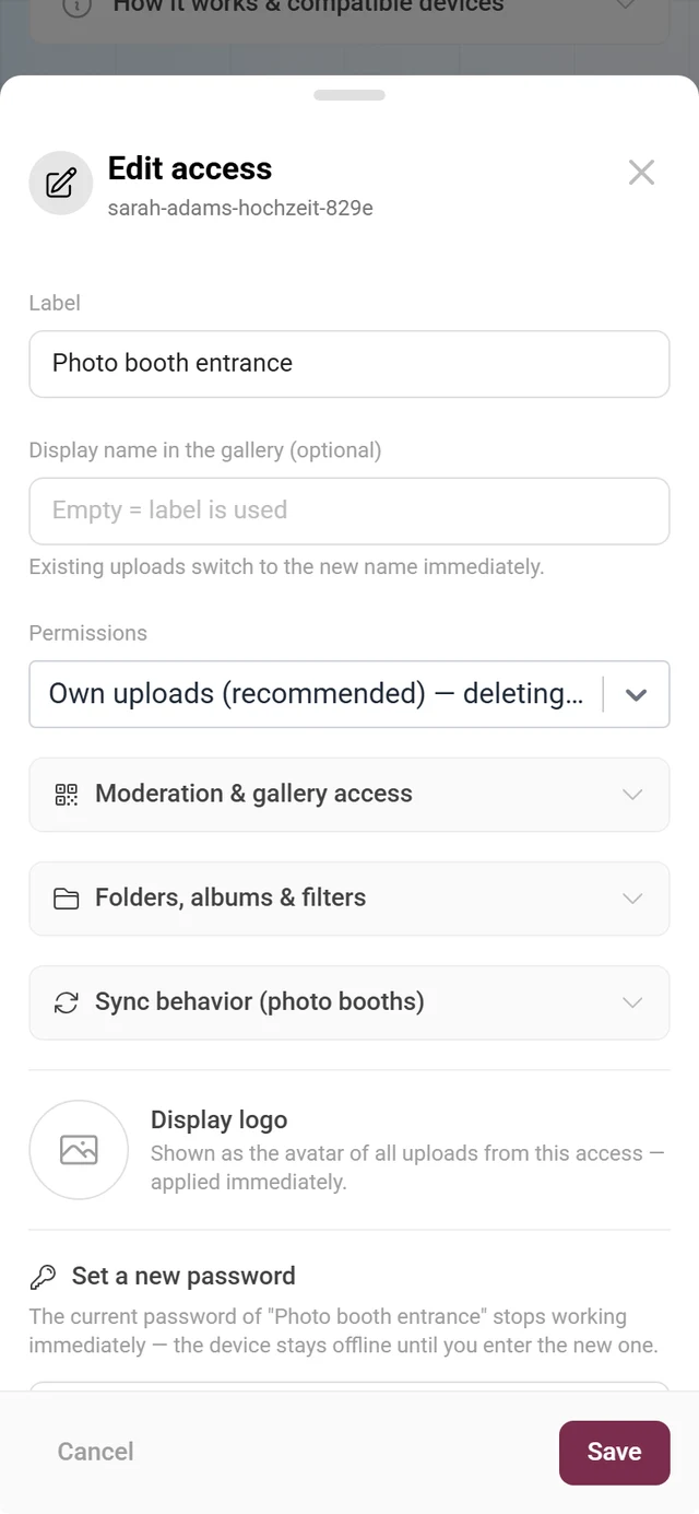 Edit access dialog with label, display name, permissions, the three option groups, display logo and the Set new password section
