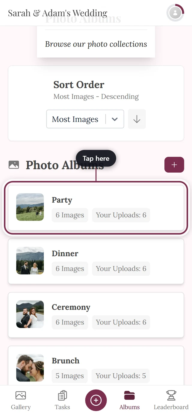 Album overview with the first album tile, its cover and image count highlighted