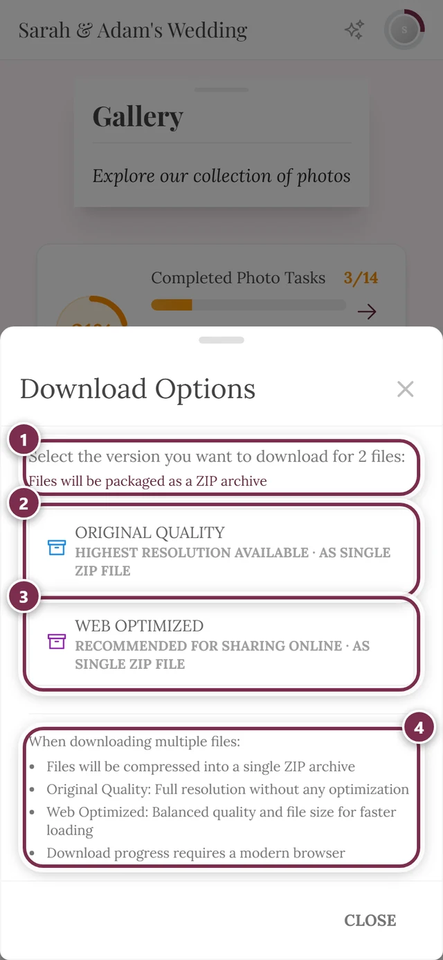 Download Options dialog with two photos marked, showing the ZIP note under both buttons