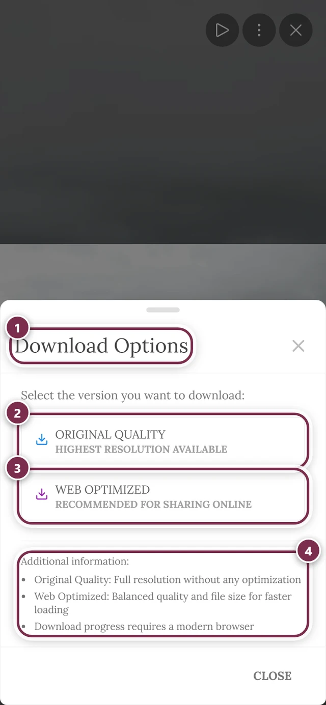 Download Options dialog with the two buttons Original Quality and Web Optimized