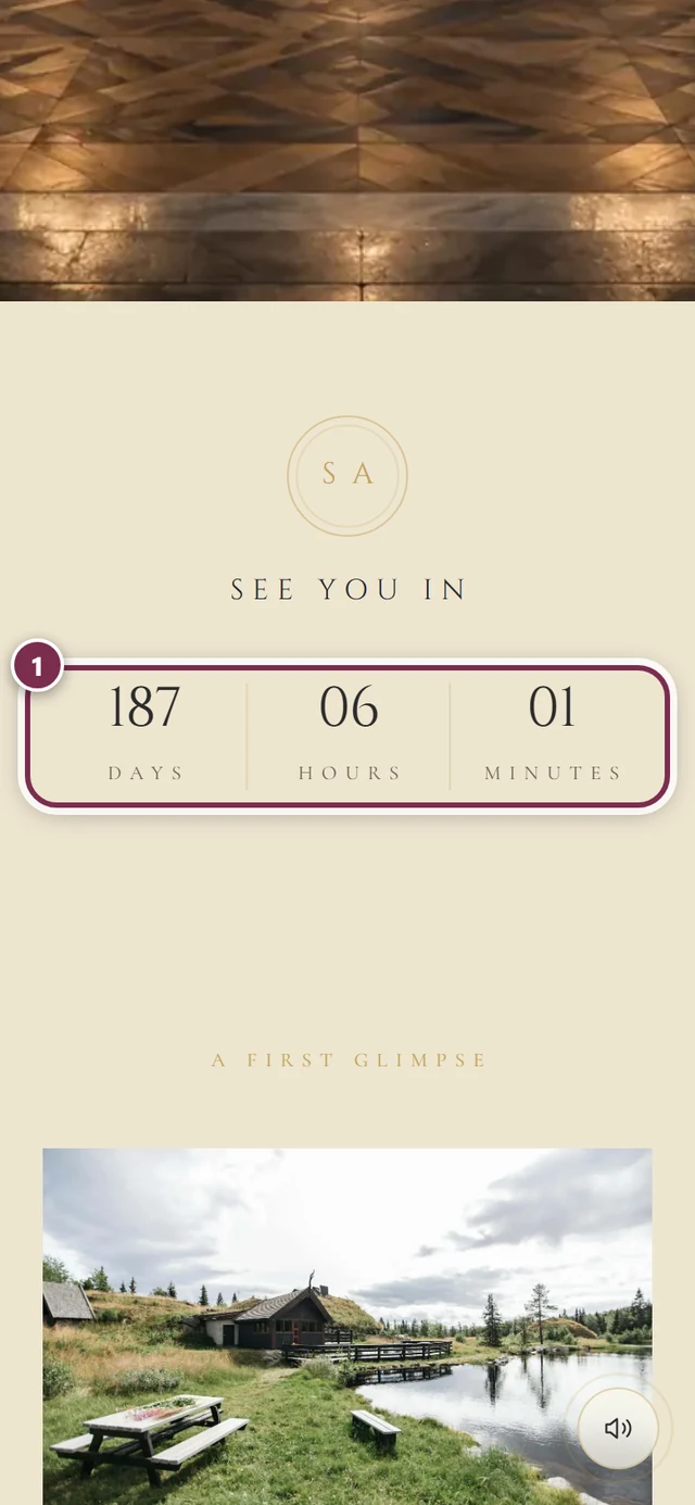 Countdown section of the invitation with a ring around the number panel for days, hours and minutes