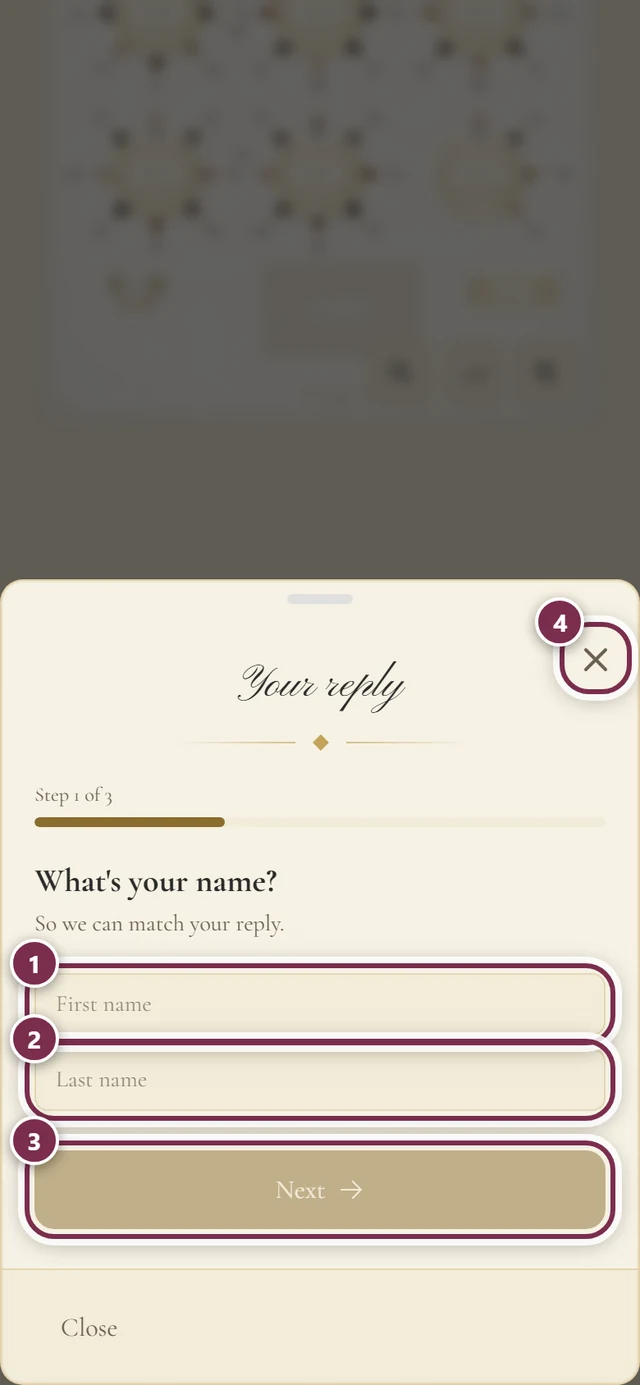 Your reply window with rings around first name, last name, Next and the close cross