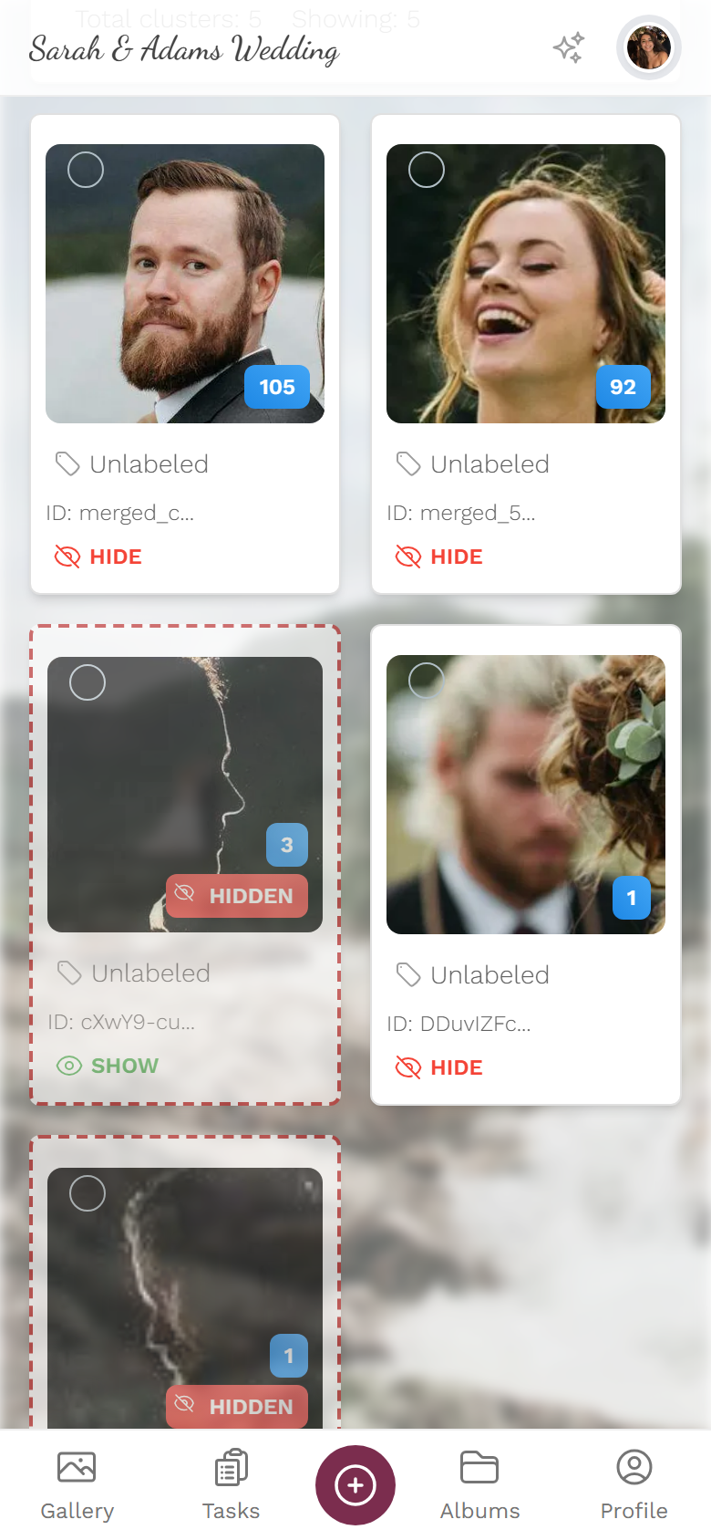 Face cluster manager with search field, filter and cluster tiles