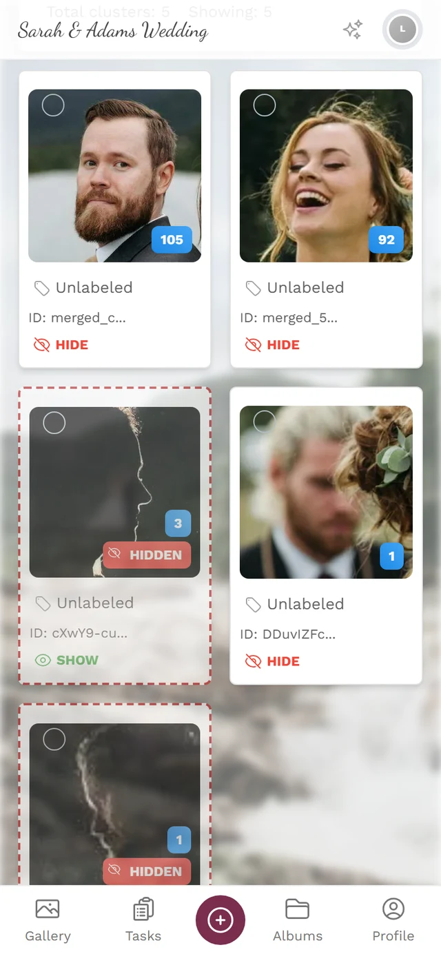Cluster manager with search field, filter and the face groups as tiles