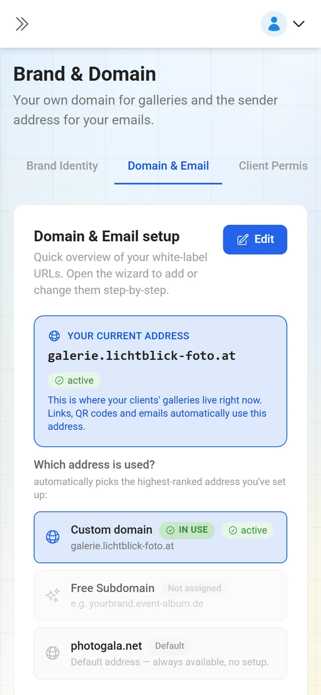 Domain and email tab of the brand settings