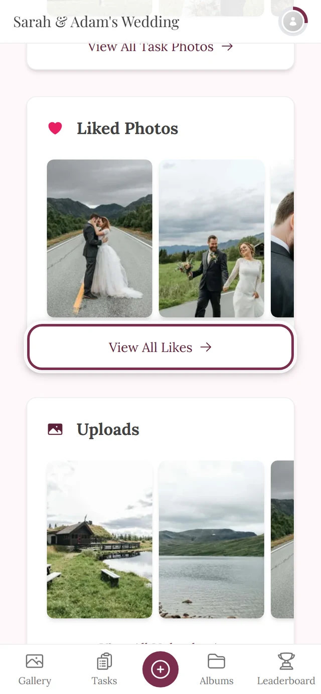 Profile page, Liked Photos section with the View All Likes link highlighted