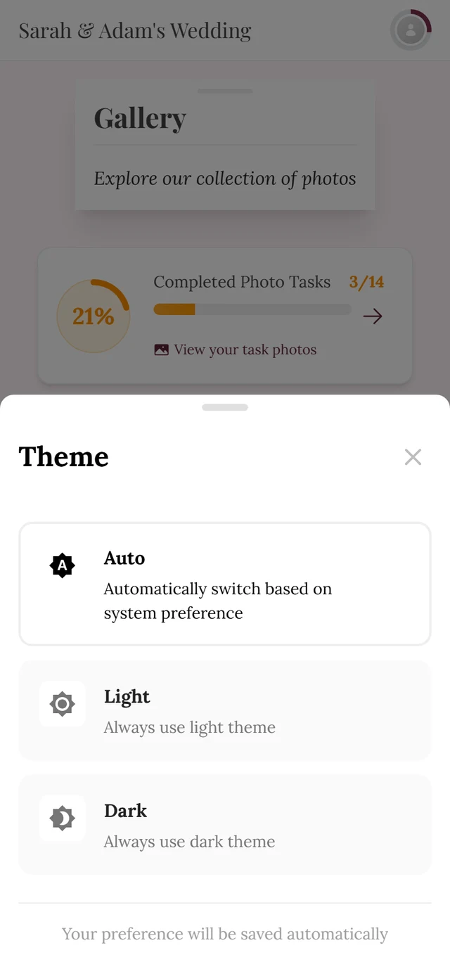 Theme dialog with the three options Auto, Light and Dark