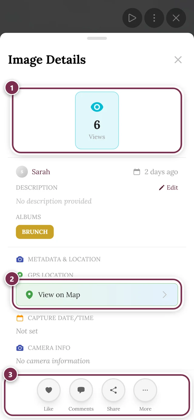 Image details dialog with stats, uploader, description and capture info