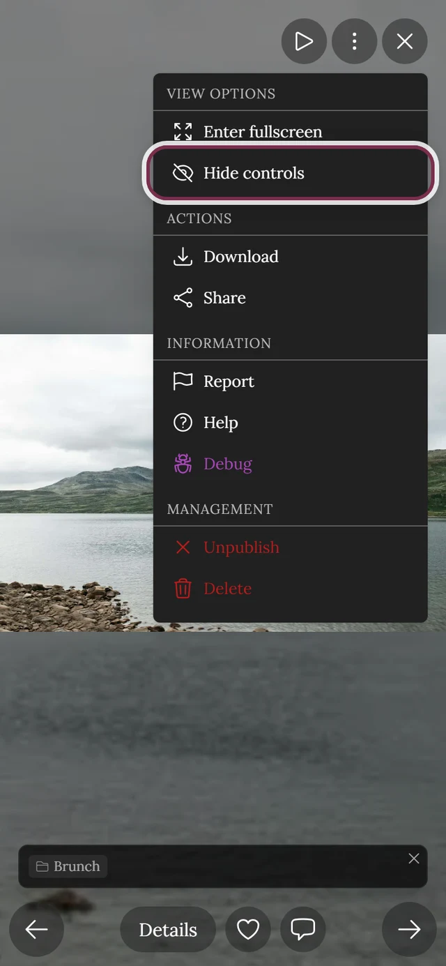 Open three-dot menu of the full-screen view with the entry Hide controls highlighted