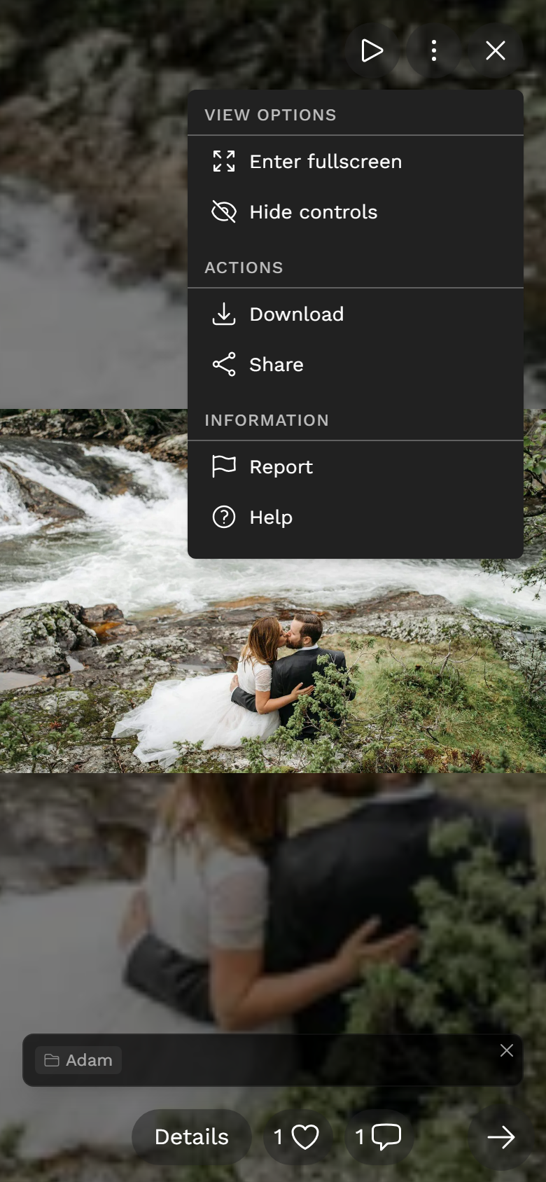Opened three-dot menu with Hide controls, Download, Share, Report and Help