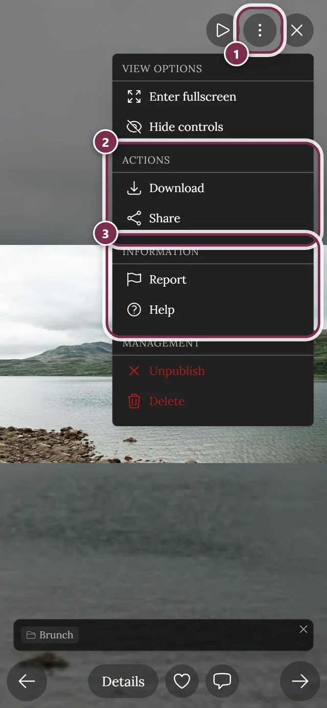 Open three-dot menu in fullscreen with the actions Download, Share and Report