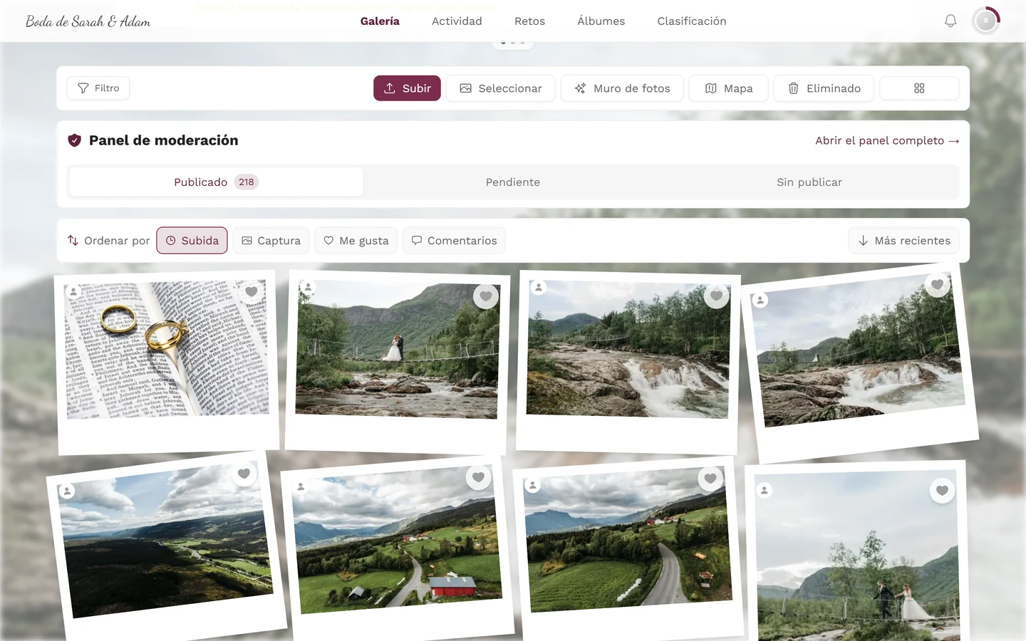 Galería con la tarjeta Panel de moderación entre la barra de filtros y la cuadrícula de fotos, con las pestañas Publicado, Pendiente y Sin publicar
