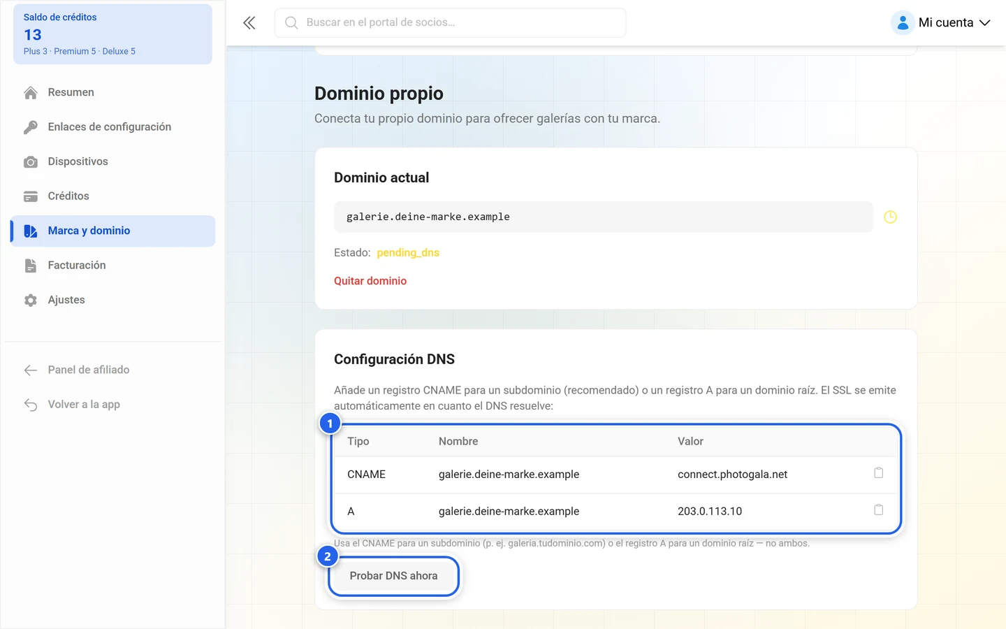 Configuración DNS del dominio de la galería con la tabla de registros y el botón Probar DNS ahora resaltados